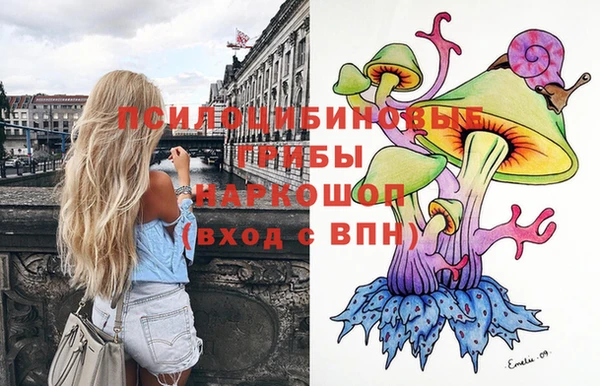 соль курить ск Верея