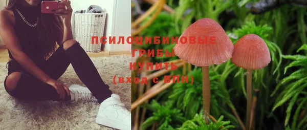 альфа пвп Верхнеуральск