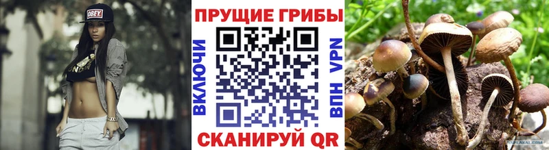 mega ссылки  даркнет сайт  Нижний Новгород  Псилоцибиновые грибы прущие грибы 